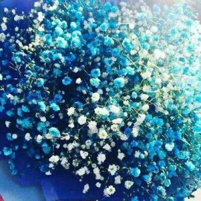 微信头像必备:满天星图片,彰显独特品味 其它头像 第10张 微信头像必备:满天星图片,彰显独特品味 其它头像 第10张
