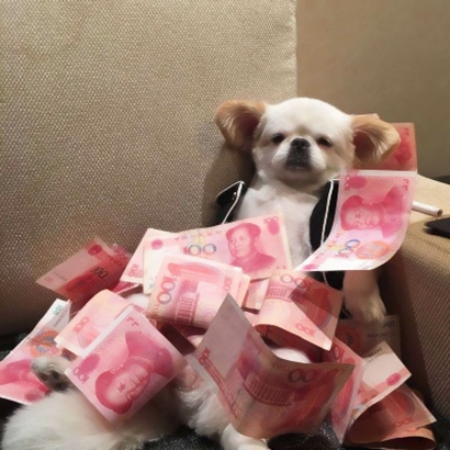 2026热门搞怪头像卡通高清合集:可爱 / 沙雕风,适配各社交平台 其它头像 第23张 2026热门搞怪头像卡通高清合集:可爱 / 沙雕风,适配各社交平台 其它头像 第23张