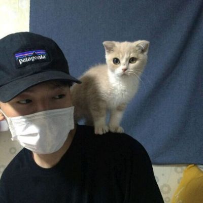 成熟阳光风男生高清头像 适配微信 / QQ / 社交平台 男生头像 第7张 成熟阳光风男生高清头像 适配微信 / QQ / 社交平台 男生头像 第7张