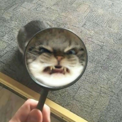 免费存!超可爱猫咪情侣头像大全|软fufu猫咪形象,甜到心坎里 情侣头像 第6张 免费存!超可爱猫咪情侣头像大全|软fufu猫咪形象,甜到心坎里 情侣头像 第6张