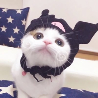 萌萌哒情侣猫猫头像大全|可爱猫咪CP款 情侣头像 第16张 萌萌哒情侣猫猫头像大全|可爱猫咪CP款 情侣头像 第16张