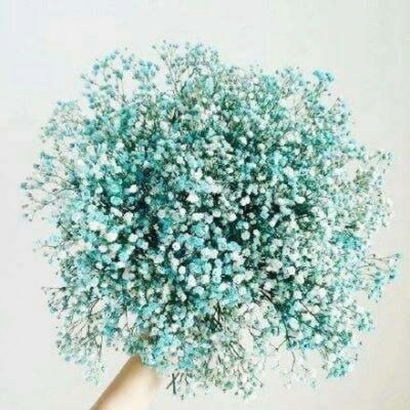 微信头像必备:满天星图片,彰显独特品味 其它头像 第1张 微信头像必备:满天星图片,彰显独特品味 其它头像 第1张