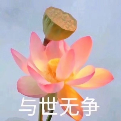 荷花带字佛系头像图片大全:禅意满满 其它头像 第3张 荷花带字佛系头像图片大全:禅意满满 其它头像 第3张