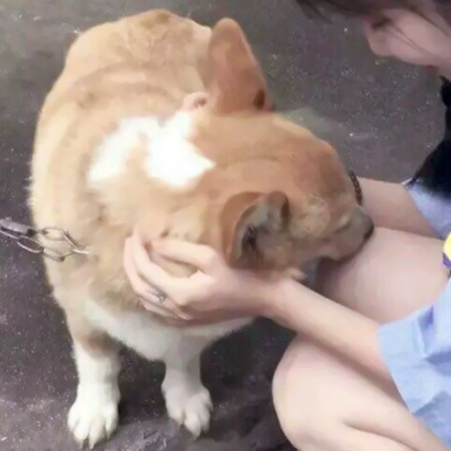 沙雕情侣头像高清一左一右 搞怪甜趣风 情侣头像 第8张 沙雕情侣头像高清一左一右 搞怪甜趣风 情侣头像 第8张