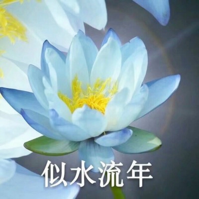 荷花带字佛系头像图片大全:禅意满满 其它头像 第8张 荷花带字佛系头像图片大全:禅意满满 其它头像 第8张