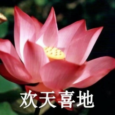 荷花带字佛系头像图片大全:禅意满满 其它头像 第2张 荷花带字佛系头像图片大全:禅意满满 其它头像 第2张