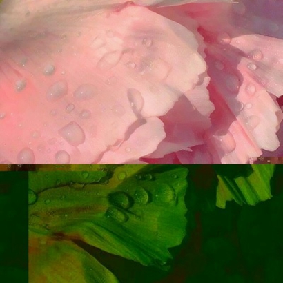 静物与风景碰撞!超唯美头像合集,小众不撞款 其它头像 第11张 静物与风景碰撞!超唯美头像合集,小众不撞款 其它头像 第11张