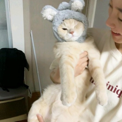 两个猫咪情侣头像一左一右合集|可爱成对猫猫头像大全 情侣头像 第11张 两个猫咪情侣头像一左一右合集|可爱成对猫猫头像大全 情侣头像 第11张