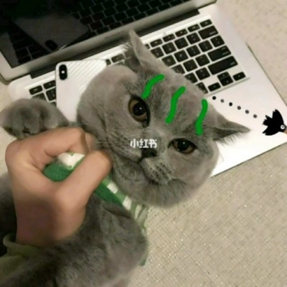 两个猫咪情侣头像一左一右合集|可爱成对猫猫头像大全 情侣头像 第15张 两个猫咪情侣头像一左一右合集|可爱成对猫猫头像大全 情侣头像 第15张