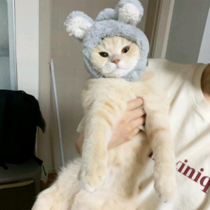两个猫咪情侣头像一左一右合集|可爱成对猫猫头像大全 情侣头像 第12张 两个猫咪情侣头像一左一右合集|可爱成对猫猫头像大全 情侣头像 第12张