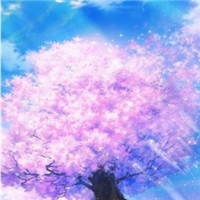 春日樱花唯美头像图片大全 仙气浪漫樱花 风景头像 第14张 春日樱花唯美头像图片大全 仙气浪漫樱花 风景头像 第14张