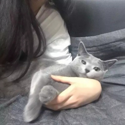 真人实拍带猫的女生头像图片 女生头像 第14张 真人实拍带猫的女生头像图片 女生头像 第14张