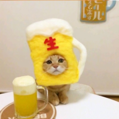 两个猫咪情侣头像一左一右合集|可爱成对猫猫头像大全 情侣头像 第9张 两个猫咪情侣头像一左一右合集|可爱成对猫猫头像大全 情侣头像 第9张