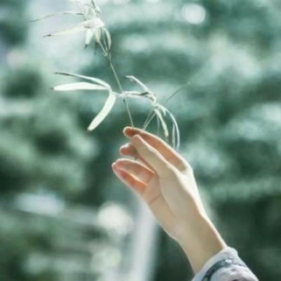 唯美禅意古风头像 女子手部特写高清图片 女生头像 第10张 唯美禅意古风头像 女子手部特写高清图片 女生头像 第10张
