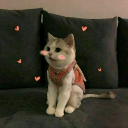 两个猫咪情侣头像一左一右合集|可爱成对猫猫头像大全 情侣头像 第18张 两个猫咪情侣头像一左一右合集|可爱成对猫猫头像大全 情侣头像 第18张