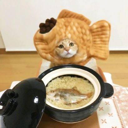 两个猫咪情侣头像一左一右合集|可爱成对猫猫头像大全 情侣头像 第1张 两个猫咪情侣头像一左一右合集|可爱成对猫猫头像大全 情侣头像 第1张