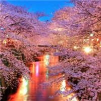 春日樱花唯美头像图片大全 仙气浪漫樱花 风景头像 第15张 春日樱花唯美头像图片大全 仙气浪漫樱花 风景头像 第15张