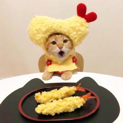 两个猫咪情侣头像一左一右合集|可爱成对猫猫头像大全 情侣头像 第5张 两个猫咪情侣头像一左一右合集|可爱成对猫猫头像大全 情侣头像 第5张