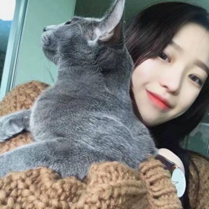 真人实拍带猫的女生头像图片 女生头像 第30张 真人实拍带猫的女生头像图片 女生头像 第30张