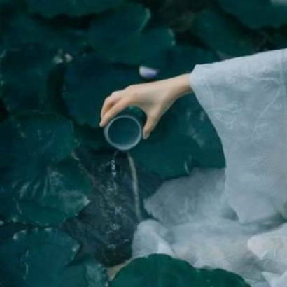 唯美禅意古风头像 女子手部特写高清图片 女生头像 第7张 唯美禅意古风头像 女子手部特写高清图片 女生头像 第7张
