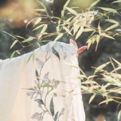 唯美禅意古风头像 女子手部特写高清图片 女生头像 第6张 唯美禅意古风头像 女子手部特写高清图片 女生头像 第6张