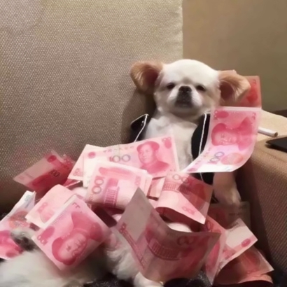沙雕奇葩搞怪丑图情侣头像 一对两张无水印 情侣头像 第18张