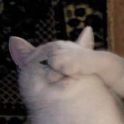 猫咪情侣头像抖音一人一张，爱猫情侣党必备 情侣头像 第15张