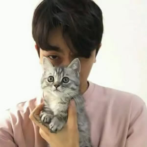 男生抱宠物头像大全｜酷帅温柔男生抱猫抱狗 男生头像 第12张