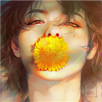 菊花头像图片大全唯美 其它头像 第16张 菊花头像图片大全唯美 其它头像 第16张