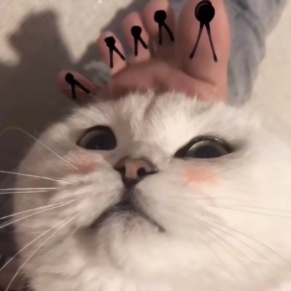 猫咪情侣头像抖音一人一张，爱猫情侣党必备 情侣头像 第22张