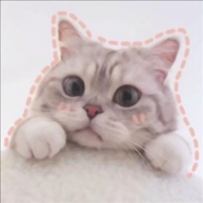 猫咪情侣头像抖音一人一张，爱猫情侣党必备 情侣头像 第12张