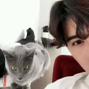 男生抱宠物头像大全｜酷帅温柔男生抱猫抱狗 男生头像 第2张