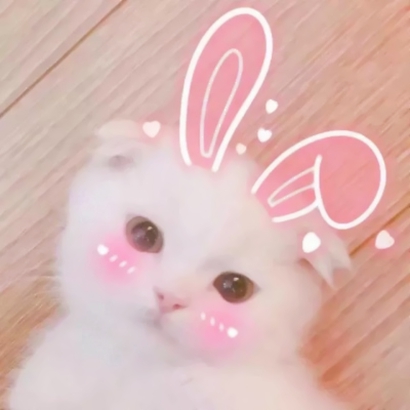 呆萌可爱小猫头像|高清软萌猫咪头像图片大全 动物头像 第2张 呆萌可爱小猫头像|高清软萌猫咪头像图片大全 动物头像 第2张