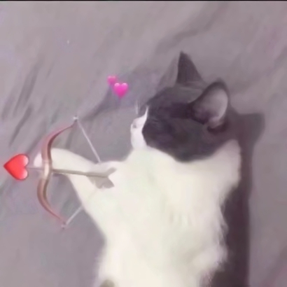 猫咪情侣头像抖音一人一张，爱猫情侣党必备 情侣头像 第23张