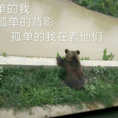 超萌动物情侣头像一左一右配对合集 情侣头像 第8张 超萌动物情侣头像一左一右配对合集 情侣头像 第8张