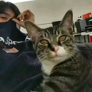 男生抱宠物头像大全｜酷帅温柔男生抱猫抱狗 男生头像 第9张