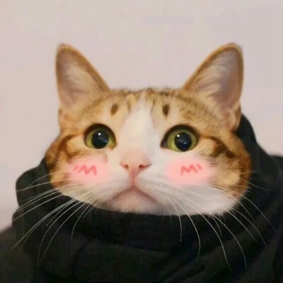 猫情侣头像两张一对合集|可爱猫咪情头一左一右 情侣头像 第30张 猫情侣头像两张一对合集|可爱猫咪情头一左一右 情侣头像 第30张