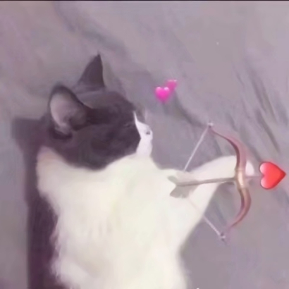 猫咪情侣头像抖音一人一张，爱猫情侣党必备 情侣头像 第24张