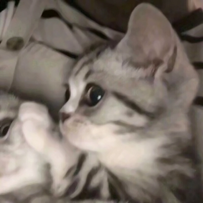 情侣头像高清杂图全集 情侣头像 第2张 情侣头像高清杂图全集 情侣头像 第2张
