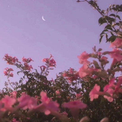 唯美夜晚星空风景图片头像 风景头像 第10张 唯美夜晚星空风景图片头像 风景头像 第10张