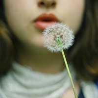 女生吹蒲公英唯美头像 温柔唯美干净治愈 女生头像 第30张 女生吹蒲公英唯美头像 温柔唯美干净治愈 女生头像 第30张