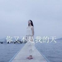 文字微信头像女生伤感 孤独心碎氛围感女头大全 女生头像 第33张