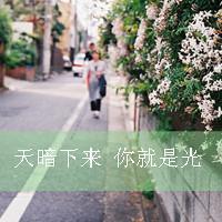文字微信头像女生伤感 孤独心碎氛围感女头大全 女生头像 第40张