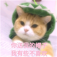 可爱猫带字头像 动物头像 第11张 可爱猫带字头像 动物头像 第11张