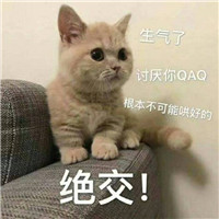 可爱猫带字头像 动物头像 第17张 可爱猫带字头像 动物头像 第17张