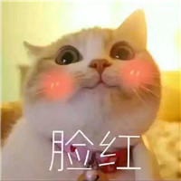 可爱猫带字头像 动物头像 第6张 可爱猫带字头像 动物头像 第6张