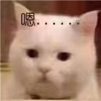 可爱猫带字头像 动物头像 第9张 可爱猫带字头像 动物头像 第9张
