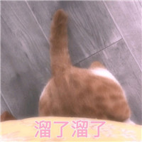 可爱猫带字头像 动物头像 第12张 可爱猫带字头像 动物头像 第12张