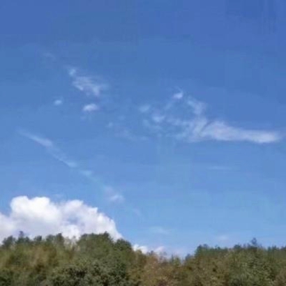 风景静物qq头像 风景头像 第20张