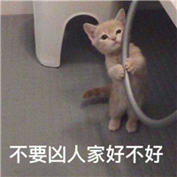 可爱猫带字头像 动物头像 第4张 可爱猫带字头像 动物头像 第4张